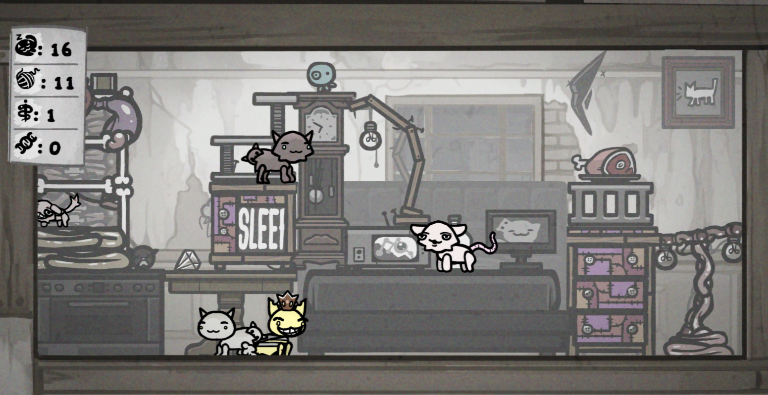 The cats chilling in the house