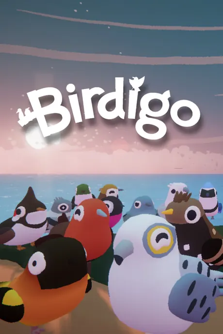 Birdigo cover art